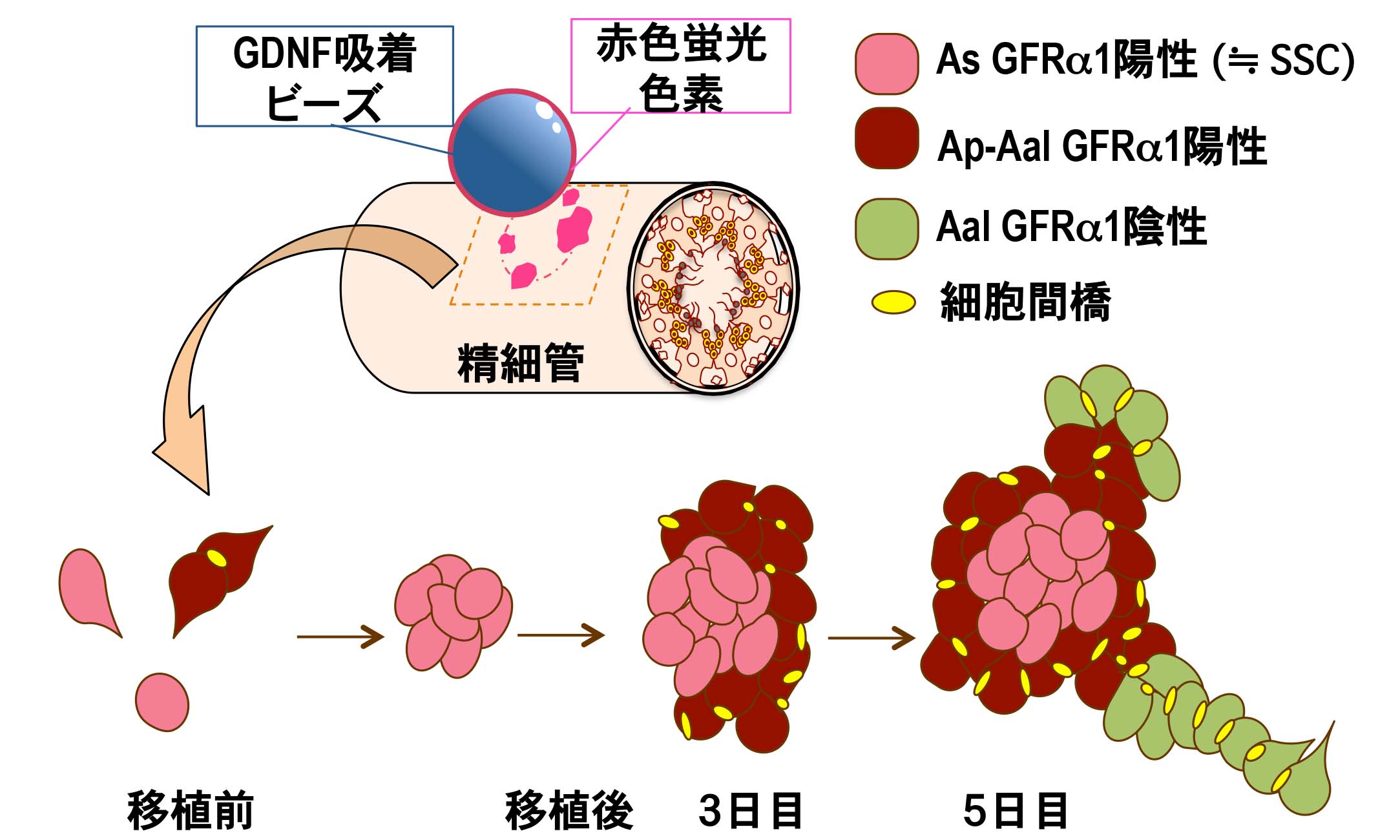 fig6